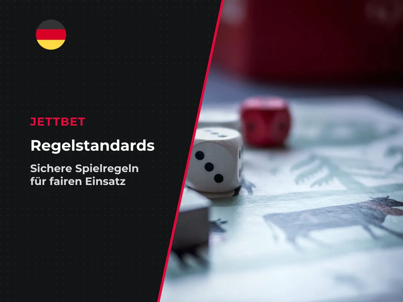 9.3 Rahmenstandards, die international gelten. Aus
